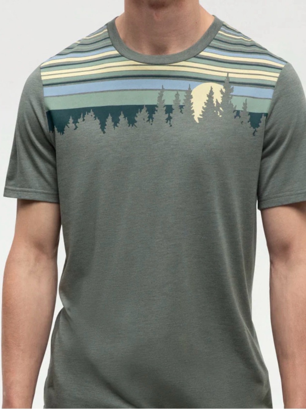 tentree - Retro Juniper T-Shirt Olive Green with Sunrise Forest Stripe small